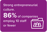 Strong entrepeneurial culture. 86% of companies employ 10 staff or fewer