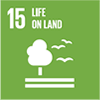 UN15 - Life on land